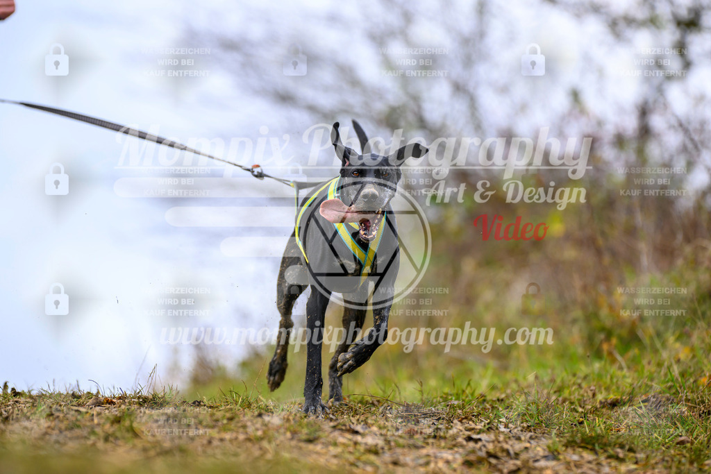 MompixPhotography_2OATB_SO_Run-14 | PayLife