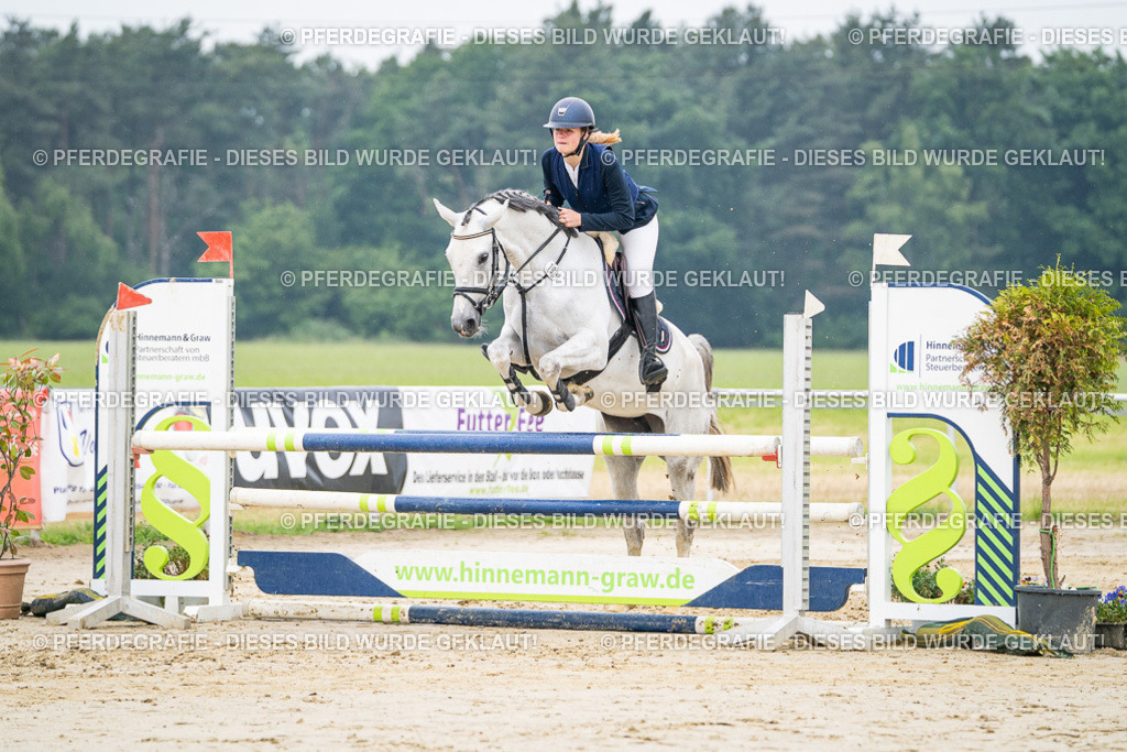 DSC09718 | Pferdegrafie