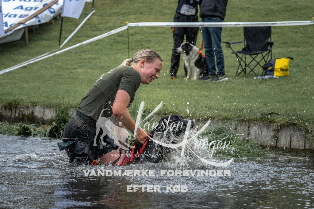 1534_ZZ95633 | kk-dogfotos