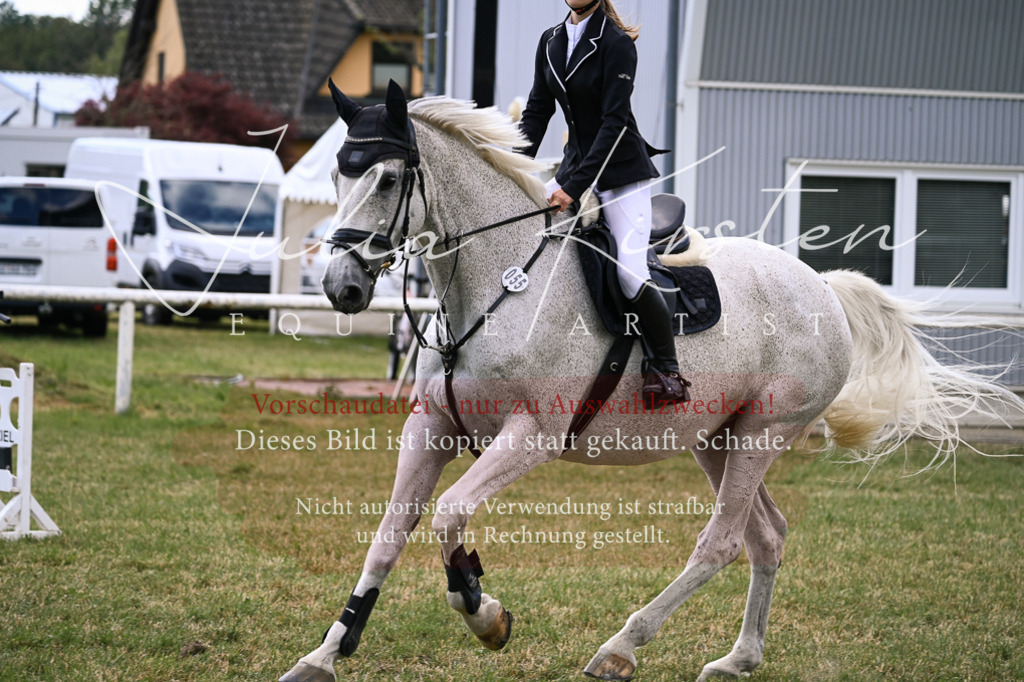 DSC_0962 | Pferde- und Turnierfotografie in Westsachsen. Pferdeportraits, Auftragszeichnungen und intuitive Kunst.