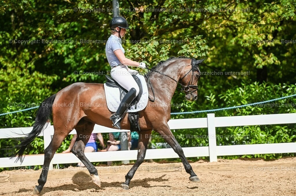 20230715_02_Dressurreiterprüfung Kl.L_0393 | equistock