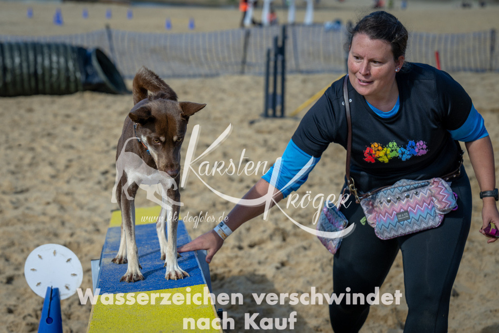 1211_ZZ92631-2 | kk-dogfotos