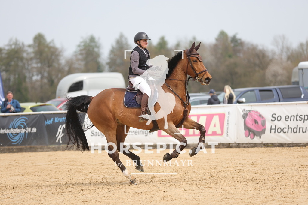 0P6A6873 | Willkommen bei Brunnmayr - Design & Fotografie – Ihrem Spezialisten für Reitturniere und Pferdeveranstaltungen in Oberösterreich, Salzburg und Bayern! Seit über 17 Jahren sind wir leidenschaftlich dabei.