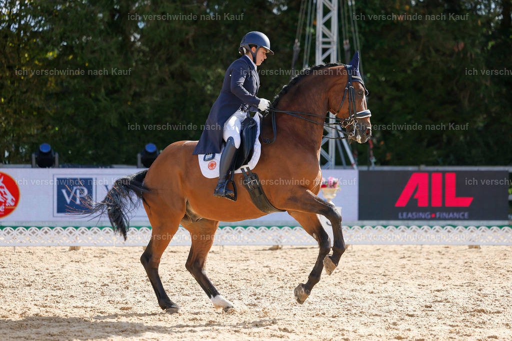 09_2-169-DRESSUR  S_  -StoibPH-5755 | working equitationturnier fotograf videograf stoibphotography marixx film working equitation deutschland reitsport turnierfotografie eventfotografie equestrian events