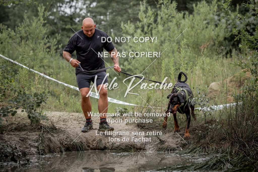 nelerasche_so0800-0930_372 | nelerasche
