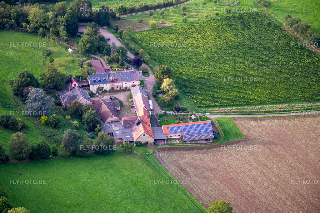 Weingut von Racknitz http://www.weingut-von-racknitz.com/ | Luftbild: Weingut von Racknitz http://www.weingut-von-racknitz.com/ in Odernheim am Glan im Bundesland Rheinland-Pfalz in Deutschland. Foto: IMG_138177.jpg vom 03.09.2023 durch ©2025 Werner Riehm fly-foto.de/copyright - Realisiert mit Pictrs.com