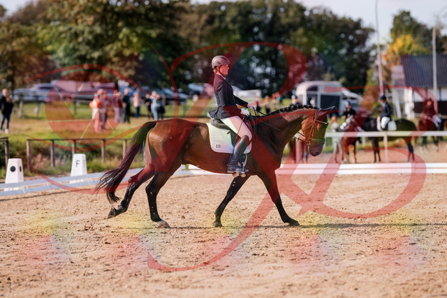 2026_10_03_Siefer-Hof_123138_Z81_30005141 | Professionelle Reitsport-, Turnier- und Eventfotografie von Robert Broda. Galerien mit ausgewählten und bearbeiteten Bildern direkt online ansehen und bestellen.
