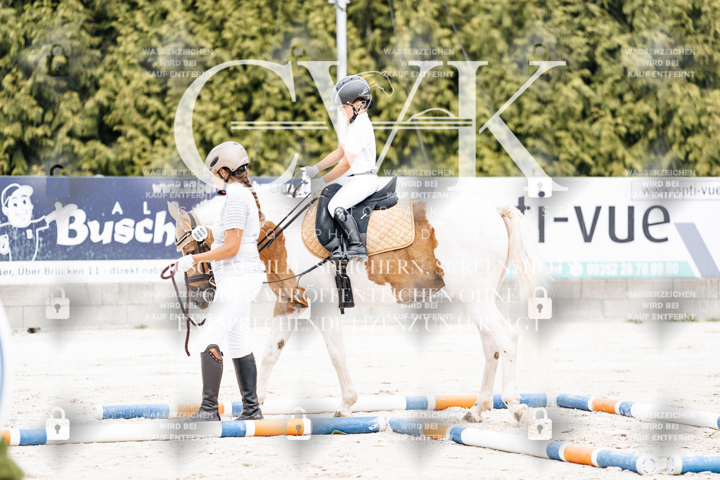 CK907190 | Turnierfotografie Pferdefotografie Trier Rheinland-Pfalz Pferdesport Reitsport Tierfotografie Sportfotografie Pferdevideo Pferdevideografie Equestrianvideography equestrianphotography  - Realisiert mit Pictrs.com