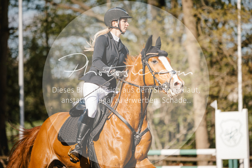 3I6A3622 | Stimmungsvolle Portraits und Reitsportfotografie im Ruhrgebiet und im Münsterland.

Pferdefotografie, Hundefotografie, Tierfotografie, Reportagen, Portraits von Tier und Mensch, Turnierfotografie in Bochum, Recklinghausen, Marl, Haltern am See, Dülmen.. - Realisiert mit Pictrs.com