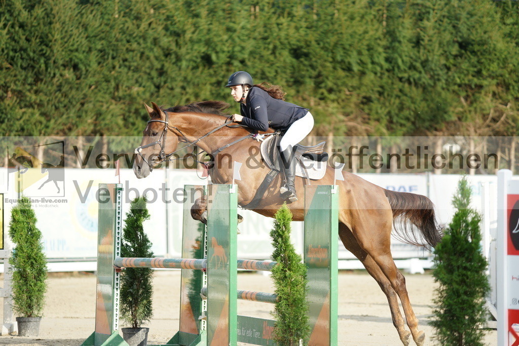 DSC01553 | equestrian-live-com