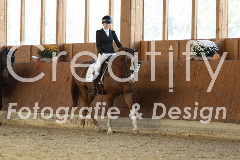 IMG_4834 | Creatify Fotografie