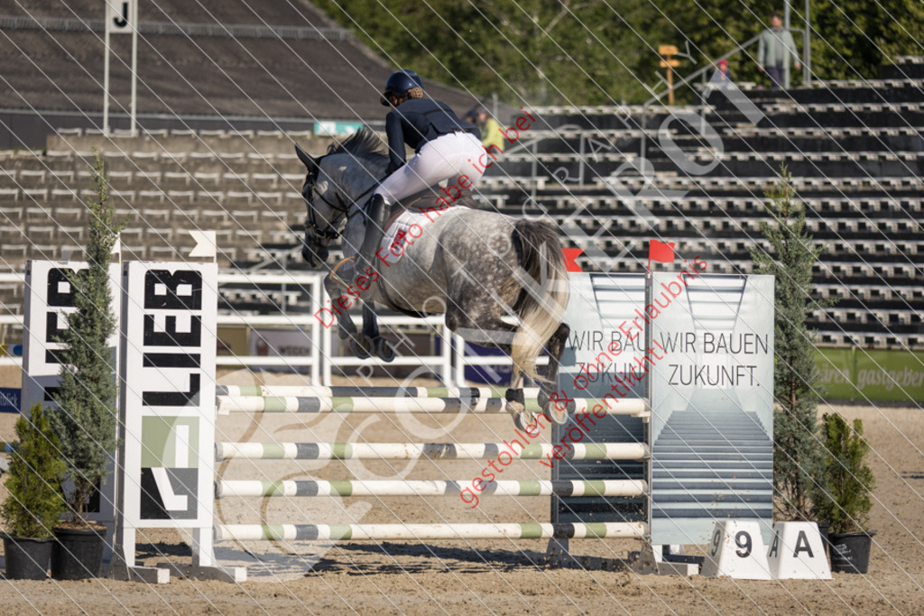 IMG_3012 | Sport-, Event- und Tierfotos in Profiqualität. Einfach auswählen, bestellen und herunterladen. Dein Moment – perfekt festgehalten.