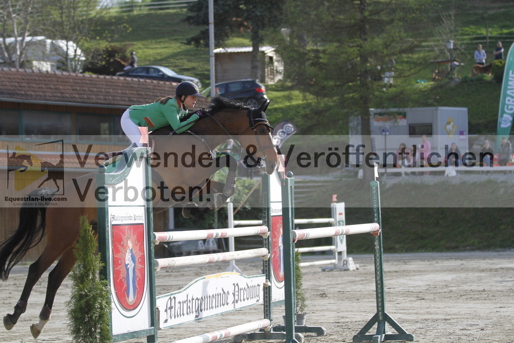 _MG_1305 | equestrian-live-com