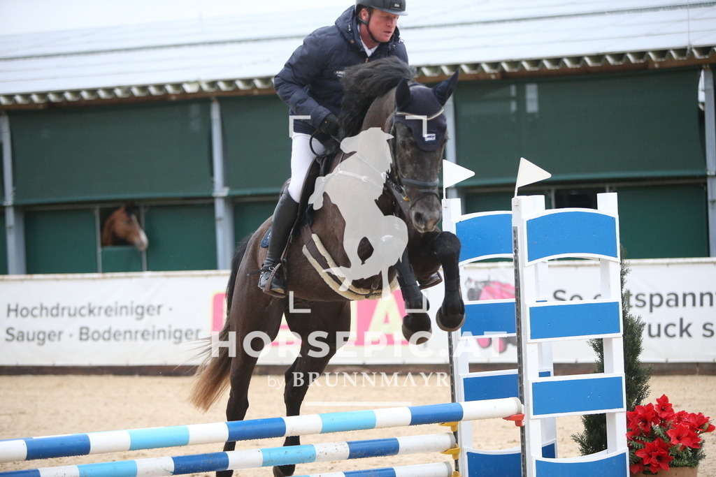 AS8V0655 | Willkommen bei Brunnmayr - Design & Fotografie – Ihrem Spezialisten für Reitturniere und Pferdeveranstaltungen in Oberösterreich, Salzburg und Bayern! Seit über 17 Jahren sind wir leidenschaftlich dabei.