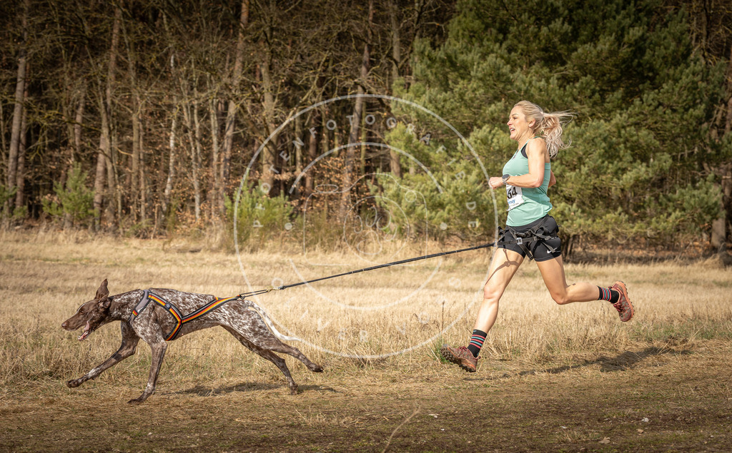DV3A5613 | Hundefotografie, Tierfotograf, Pfotenfotografie, Fotoshooting Hund, Hunde Portrait, Hundesport, Hundeportraits, Heideshooting, Hunde, Sportfotograf, Hundefotograf, Turnierhundsport, THS,  - Realisiert mit Pictrs.com