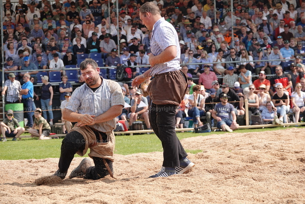 DSC04532 | Schwingen - Realisiert mit Pictrs.com