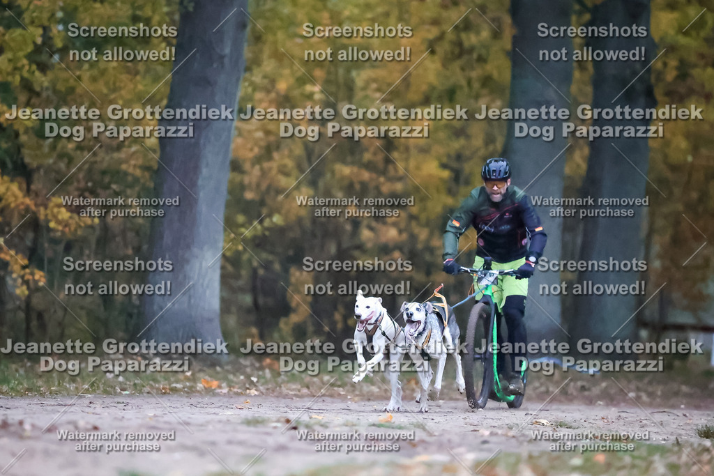 Dog Paparazzi - SD CaniX Championship 2025-3 | Dog Paparazzi Jeanette Grottendiek Fotografie & Videografie - Realisiert mit Pictrs.com