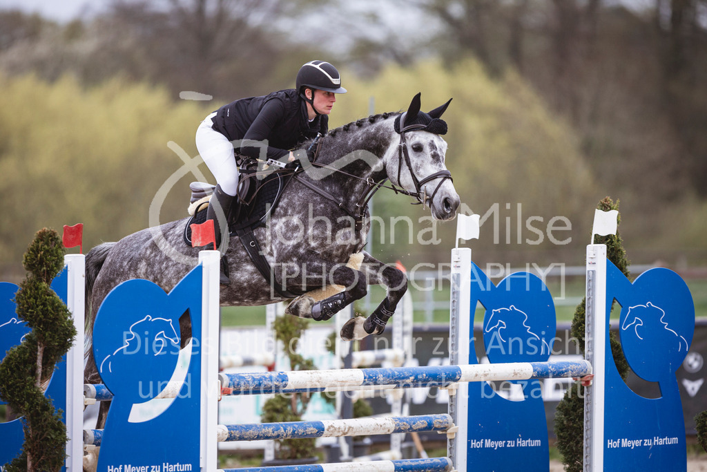 250417_Springpferde-L1-250 | Deine schönsten Turniermomente als professionelle Fotos! Entdecke hochwertige Pferdesport-Fotografie im Online-Shop. Jetzt Fotos finden & bestellen!