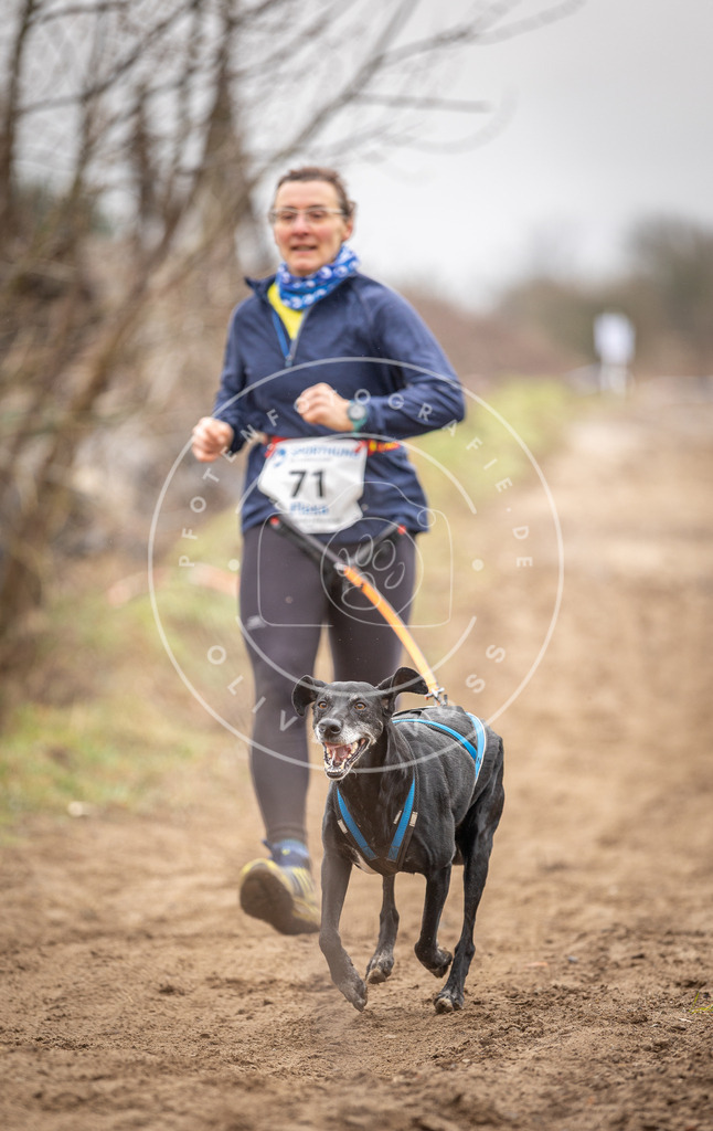 DV3A9646 | Hundefotografie, Tierfotograf, Pfotenfotografie, Fotoshooting Hund, Hunde Portrait, Hundesport, Hundeportraits, Heideshooting, Hunde, Sportfotograf, Hundefotograf, Turnierhundsport, THS,  - Realisiert mit Pictrs.com