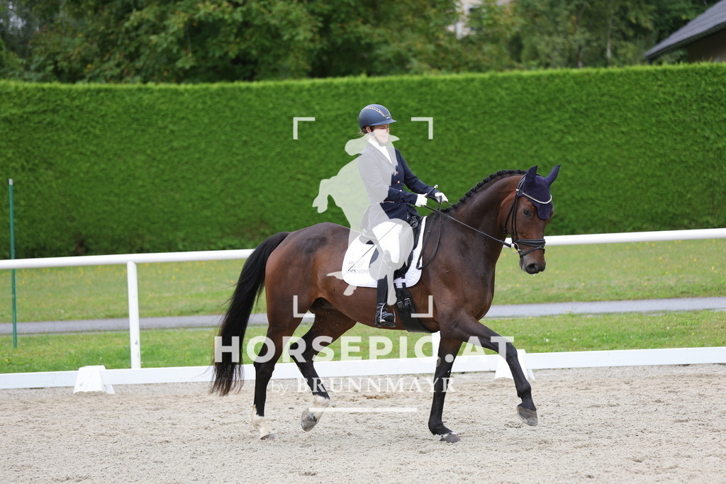 0P6A8764 | Willkommen bei Brunnmayr - Design & Fotografie – Ihrem Spezialisten für Reitturniere und Pferdeveranstaltungen in Oberösterreich, Salzburg und Bayern! Seit über 17 Jahren sind wir leidenschaftlich dabei.