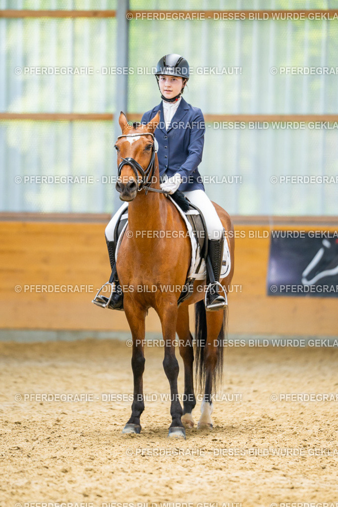 DSC08689 | Pferdegrafie