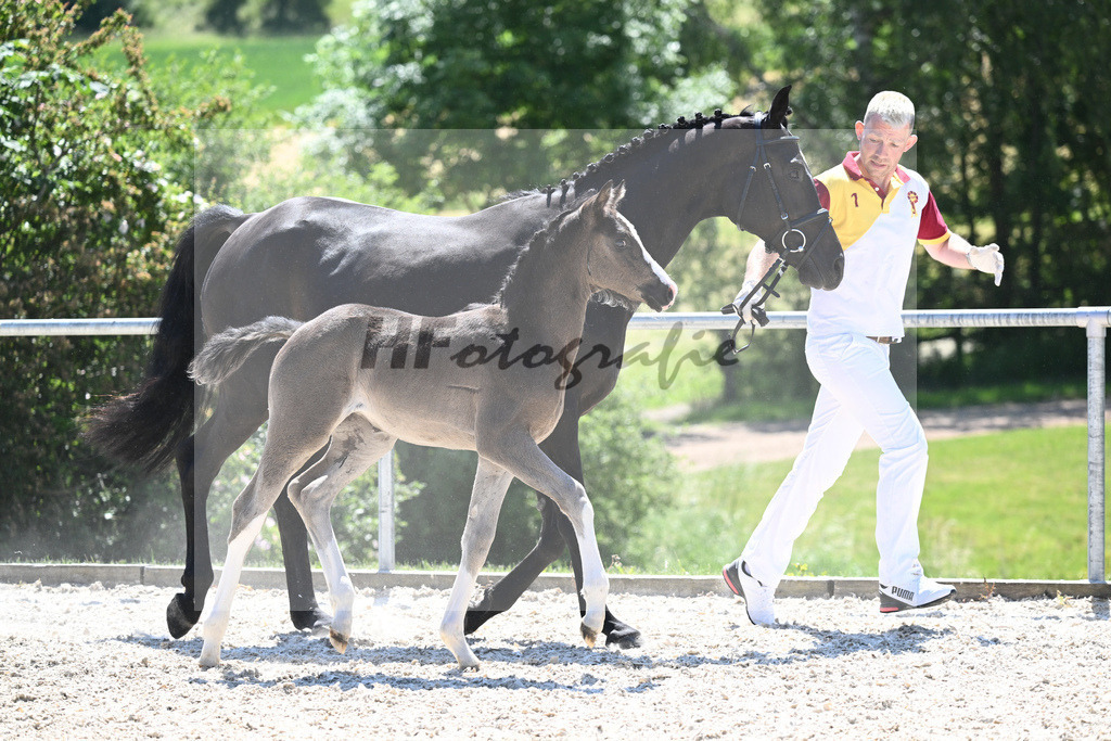 Kat-Nr. 27 SF Expresso_Lechner_16230437 | hf-fotografie - Realisiert mit Pictrs.com