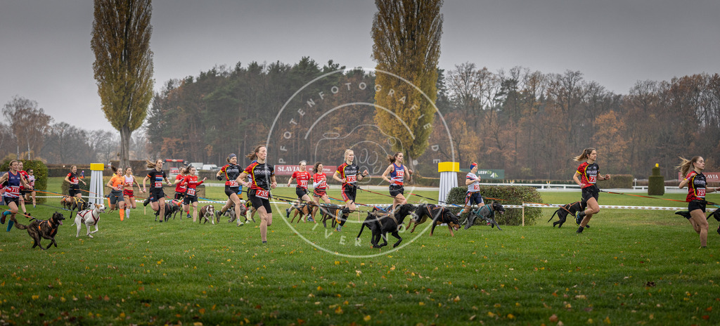 CaniXpix_DV3A8788 | Hundefotografie, Tierfotograf, Pfotenfotografie, Fotoshooting Hund, Hunde Portrait, Hundesport, Hundeportraits, Heideshooting, Hunde, Sportfotograf, Hundefotograf, Turnierhundsport, THS,  - Realisiert mit Pictrs.com