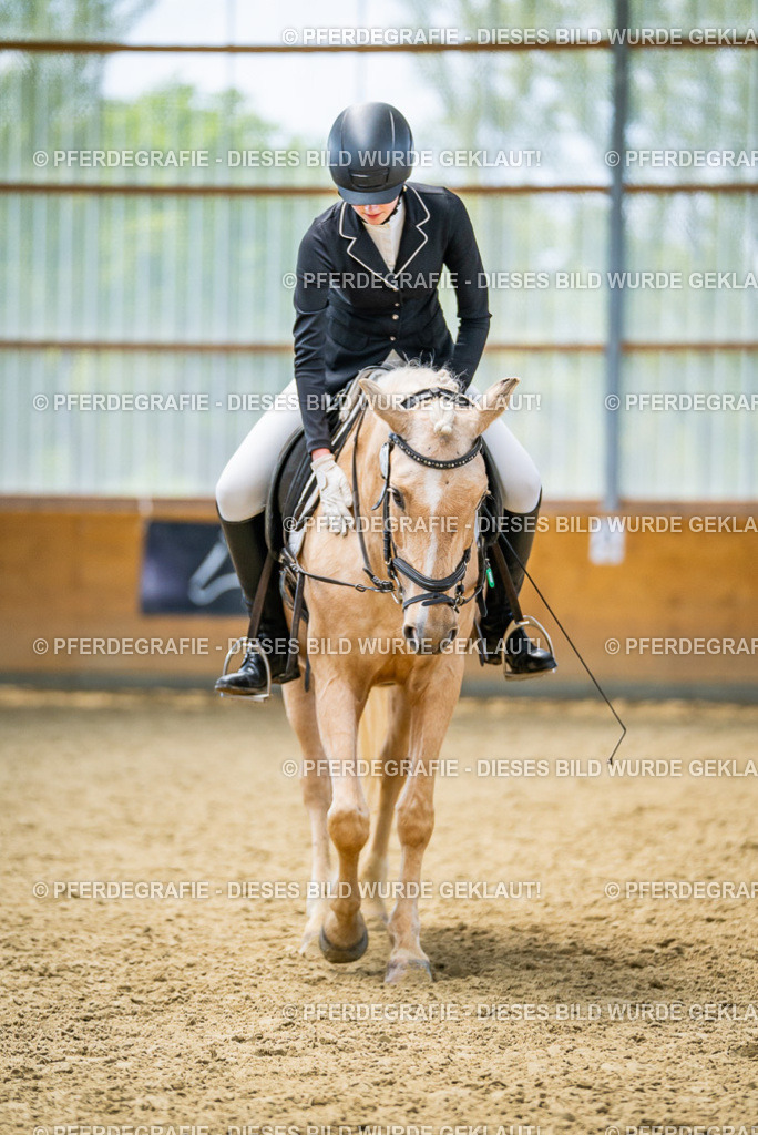 DSC04496 | Pferdegrafie