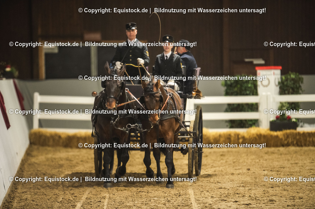 20240302_Hengstvorstellung_Marbach_TOMsPiC_0759-2 | equistock