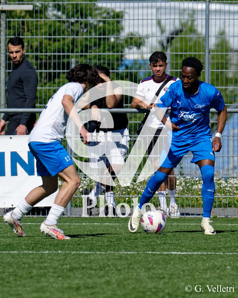 DSC_3246 | Velletri Photo