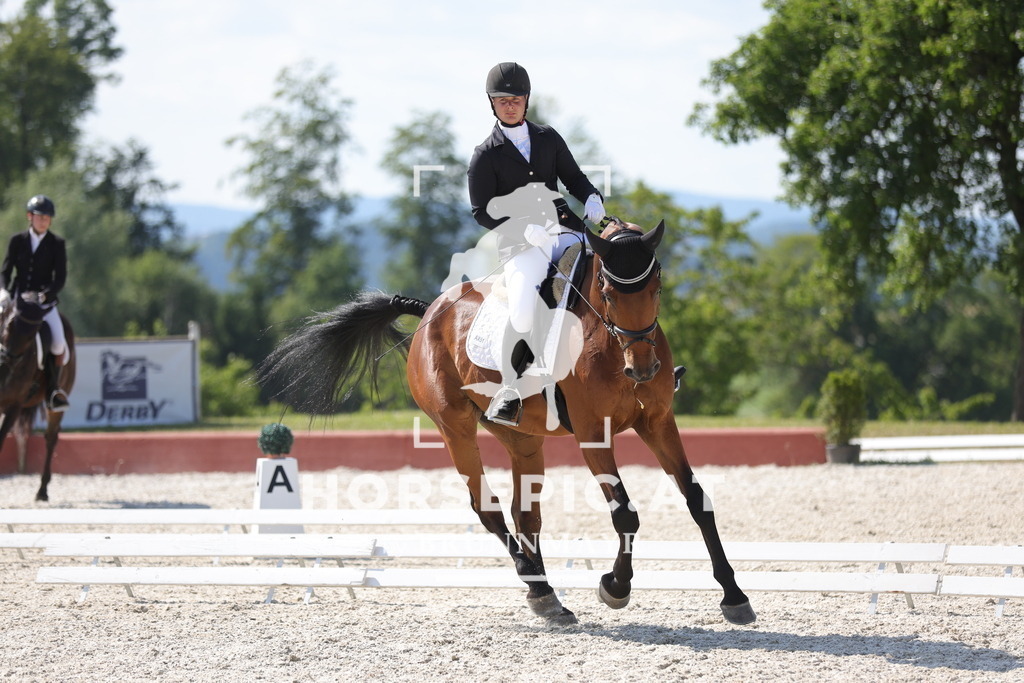 0P6A7860 | Willkommen bei Brunnmayr - Design & Fotografie – Ihrem Spezialisten für Reitturniere und Pferdeveranstaltungen in Oberösterreich, Salzburg und Bayern! Seit über 17 Jahren sind wir leidenschaftlich dabei.
