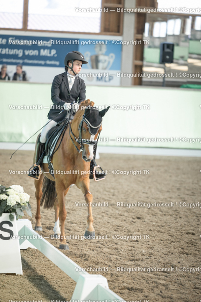 _D5A2579 | Emotionale Pferde- & People-Fotografie rund um Heidelberg, Leimen & Umgebung. Natürliche Fotos von Pferd, Mensch & Familie. Jetzt Termin sichern!