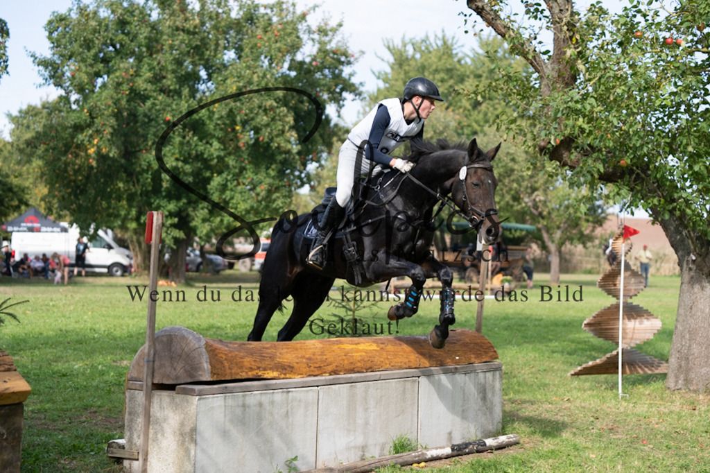 A7V03884 | Pferdefotograf