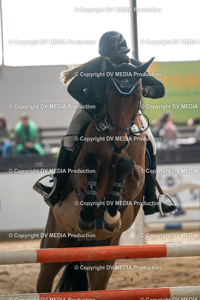 Kranichstein Tag 2-636 | dv-media-shop - Realisiert mit Pictrs.com