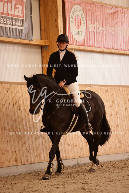 1J2A2801Miriam Steinicke_ Supernova 6_ Kn456_ Hohen Wieschendorf_ Glantz | Foto- und Videografie für alles rund ums Pferd. Hochwertige Bilder und Videos vom Spring- und Dressurreiten, Voltigieren & mehr. Jetzt aktuelle Veranstaltungen und Preise im Shop ansehen. - Realisiert mit Pictrs.com