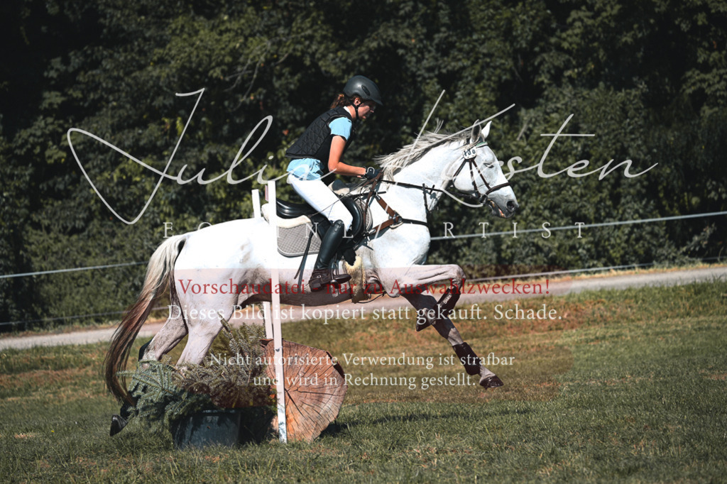 DSC_7963 | Pferde- und Turnierfotografie in Westsachsen. Pferdeportraits, Auftragszeichnungen und intuitive Kunst.