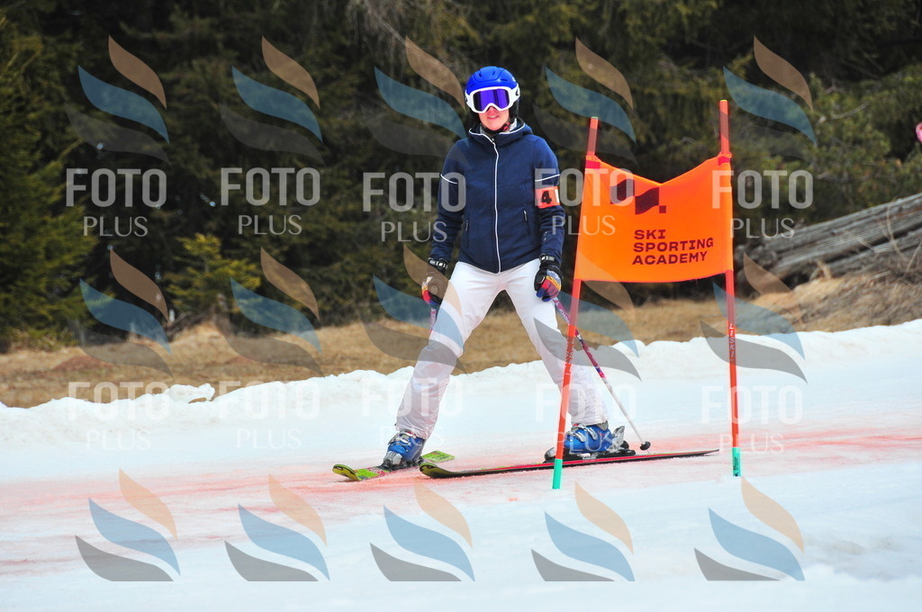 C1054 | holidayphoto