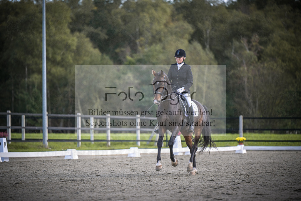 DOS_4093 | Entdecke hochwertige Reitturnierfotos von Foto Oger. Professionell, emotional und authentisch – jetzt Lieblingsmomente im Shop bestellen.Deutschlandweite Turnierfotografie. - Realisiert mit Pictrs.com