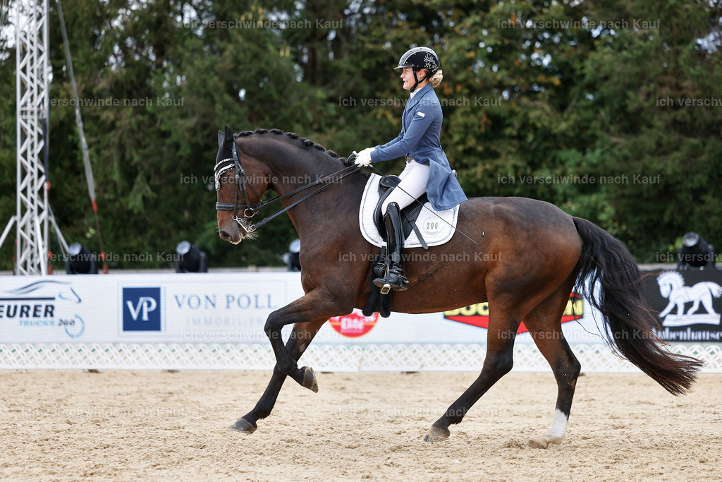 6-200-AMATUER-DRESSUR S_  -StoibPH-3542 | working equitationturnier fotograf videograf stoibphotography marixx film working equitation deutschland reitsport turnierfotografie eventfotografie equestrian events