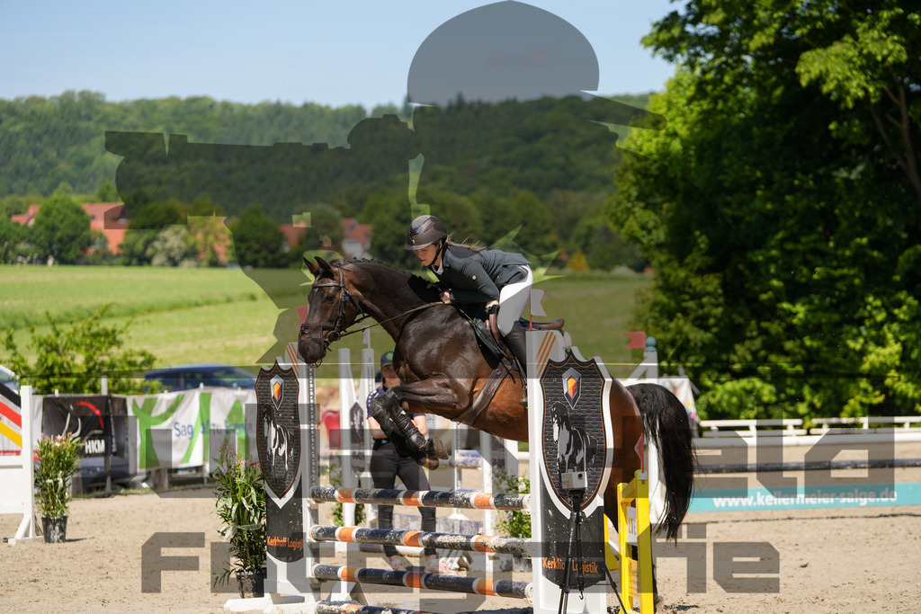 DSC02296 | Julian Held Fotografie - Realisiert mit Pictrs.com