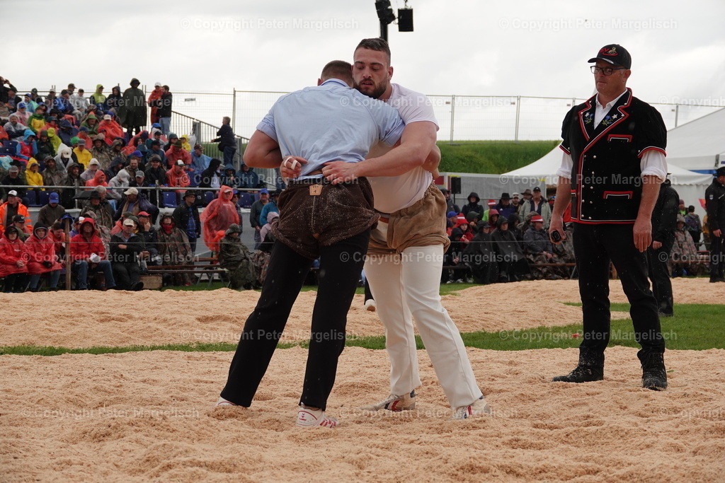 DSC00727 | Schwingen - Realisiert mit Pictrs.com