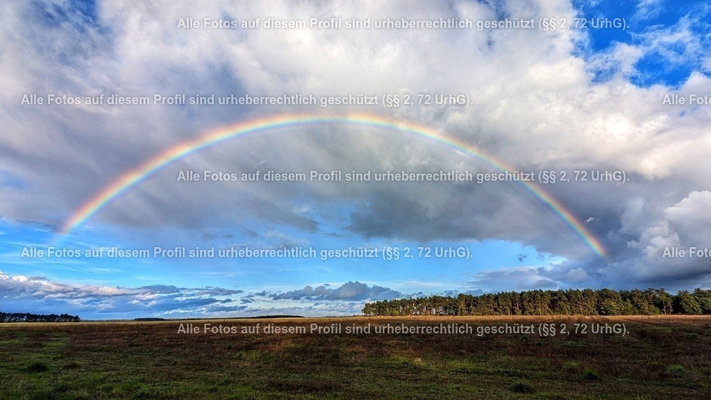 PXL_20241010_151322171 | krollfotografie - Realisiert mit Pictrs.com