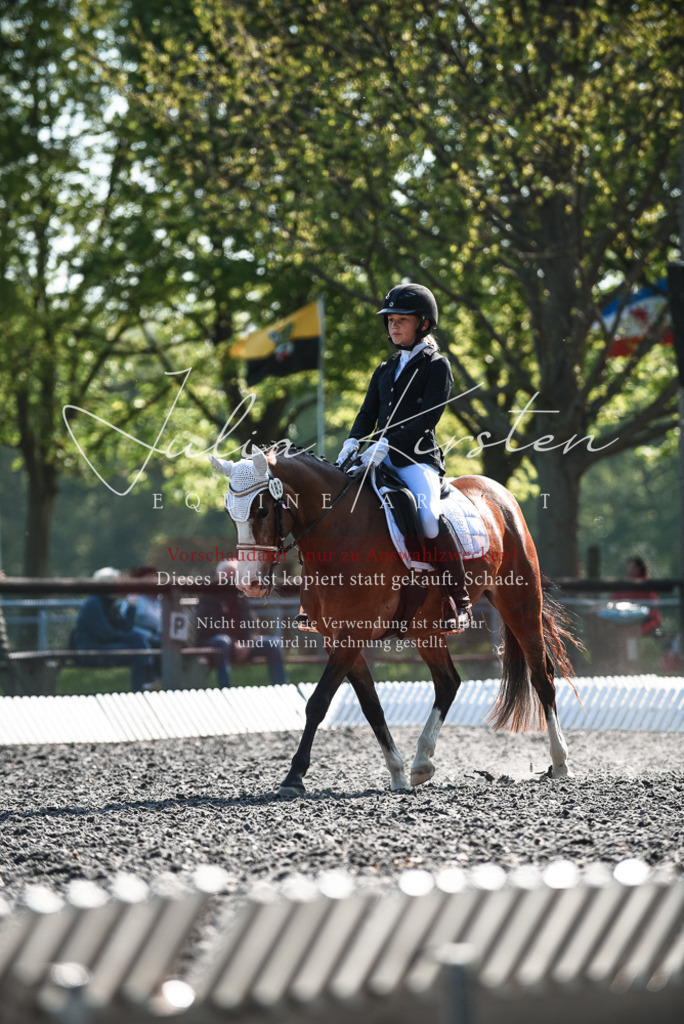 DSC_8726 | Pferde- und Turnierfotografie in Westsachsen. Pferdeportraits, Auftragszeichnungen und intuitive Kunst.