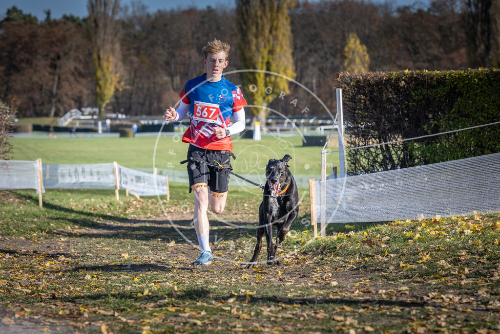 CaniXpix_DV3A8800 | Hundefotografie, Tierfotograf, Pfotenfotografie, Fotoshooting Hund, Hunde Portrait, Hundesport, Hundeportraits, Heideshooting, Hunde, Sportfotograf, Hundefotograf, Turnierhundsport, THS,  - Realisiert mit Pictrs.com