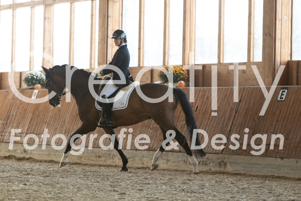 IMG_3799 | Creatify Fotografie