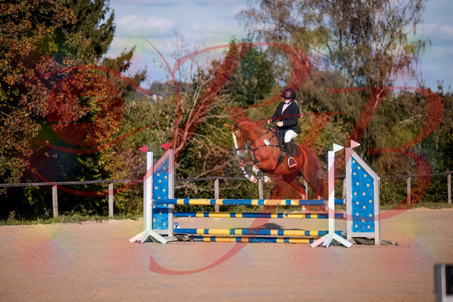 2026_10_03_Siefer-Hof_171733_Z81_15418481 | Professionelle Reitsport-, Turnier- und Eventfotografie von Robert Broda. Galerien mit ausgewählten und bearbeiteten Bildern direkt online ansehen und bestellen.