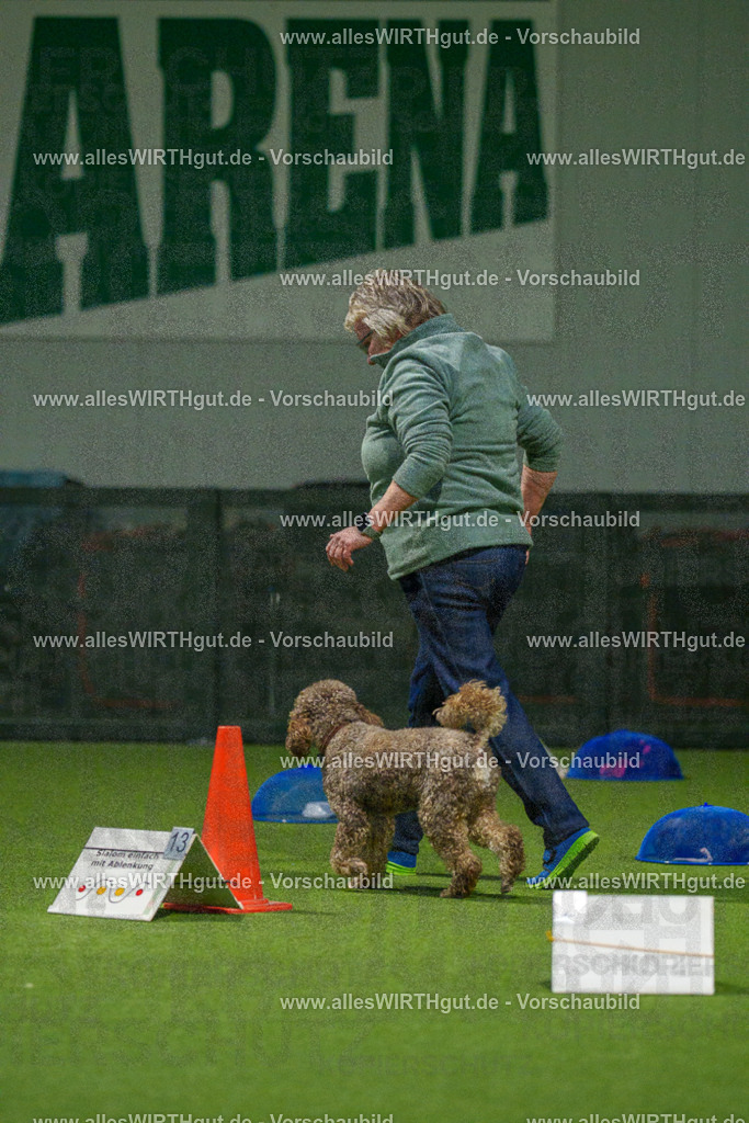 7R509193 | Professionelle Tierfotografie in Mönchengladbach von Daniel Wirth (allesWIRTHgut). Liebevolle & natürliche Bilder von Hunden & Katzen für unvergessliche Erinnerungen.