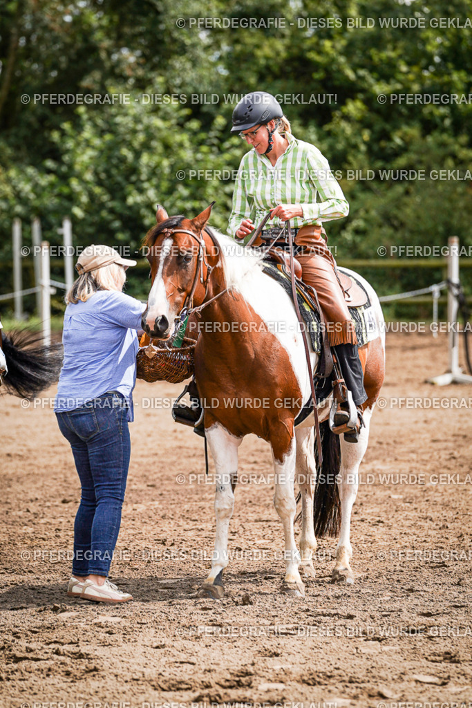 DSC07480 | Pferdegrafie