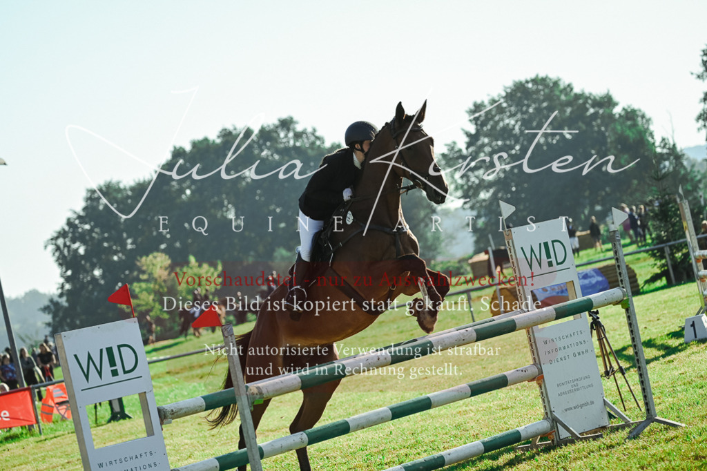 DSC_4532 | Pferde- und Turnierfotografie in Westsachsen. Pferdeportraits, Auftragszeichnungen und intuitive Kunst.
