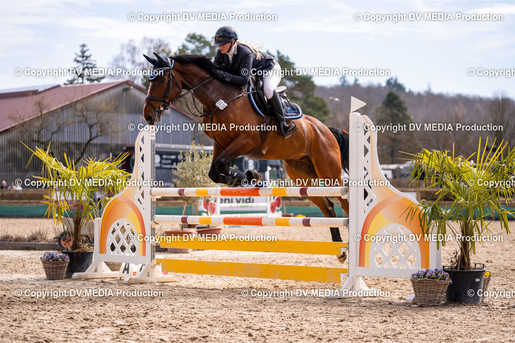 Kranichstein Tag 2-509 | dv-media-shop - Realisiert mit Pictrs.com